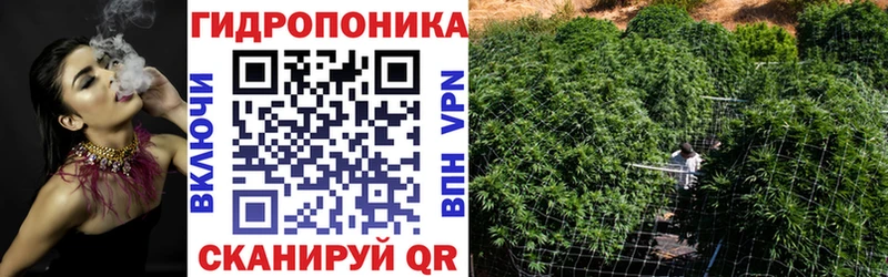 Где купить наркотики Нефтегорск ГАШ Галлюциногенные грибы Меф Каннабис