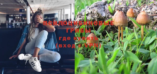 мдпв Новозыбков