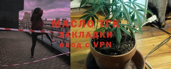 индика Осташков
