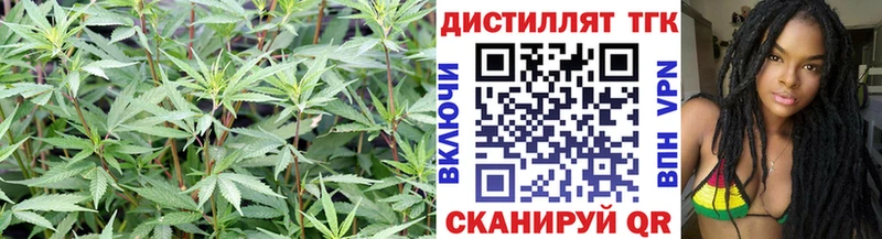 ТГК жижа цена наркотик Нефтегорск