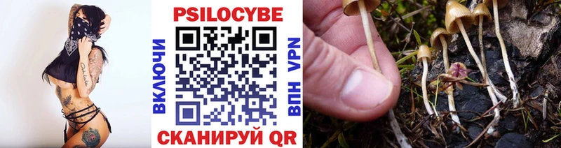 Псилоцибиновые грибы Psilocybe  купить закладку  Нефтегорск 